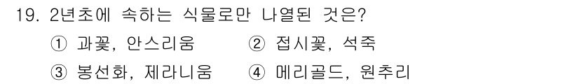 화훼장식기사 2020년 19번 - 정답 '2'는 접시꽃과 석죽이 2년초에 속하는 식물로, 이러한 식물은 생... 에 관한 핵심 기출문제
