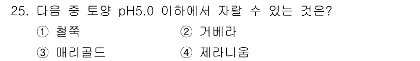 화훼장식기사 2020년 25번 - pH 5.0 이하의 토양에서는 산성 조건이 형성되어 있습니다. 이 조건에... 에 관한 핵심 기출문제