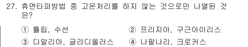 화훼장식기사 2020년 27번 - 휴면타파방법 중 고온처리를 하지 않는 것은 '다알리아, 글라디올러스'입니... 에 관한 핵심 기출문제