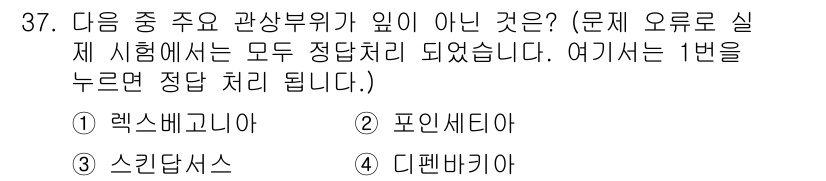 화훼장식기사 2020년 37번 - 렉스베고니아는 관상용으로 많이 재배되지만, 다른 선택지인 포인세티아, 스... 에 관한 핵심 기출문제