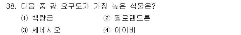 화훼장식기사 2020년 38번 - 세네시오는 일반적으로 높은 광 요구도를 가지는 식물로 알려져 있습니다. ... 에 관한 핵심 기출문제