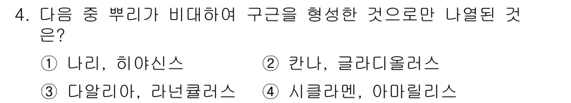 화훼장식기사 2020년 4번 - 구근을 형성하는 식물은 다알리아와 라넨쿨러스입니다. 둘 다 뿌리에서 영양... 에 관한 핵심 기출문제
