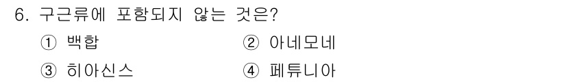 화훼장식기사 2020년 6번 - 구근류는 뿌리에서 자생하는 식물로, 대부분은 뿌리줄기나 구근 형태로 저장... 에 관한 핵심 기출문제
