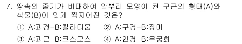 화훼장식기사 2020년 7번 - 알뿌리 모양이 된 구근(A)과 식물(B)의 조화로운 조합은 제시된 옵션 ... 에 관한 핵심 기출문제