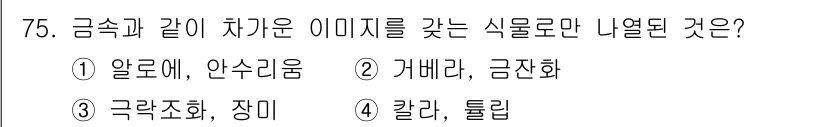 화훼장식기사 2020년 75번 - 답이 '1'인 이유는 알로에와 안수리움이 모두 금속과 같은 광택과 미적인... 에 관한 핵심 기출문제