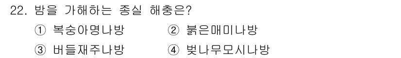산림산업기사(구60문항) 2020년 22번 - 정답 '1'인 복송아명나무와 관련하여, 이 나무는 야간에 밝고 환한 빛을... 에 관한 핵심 기출문제