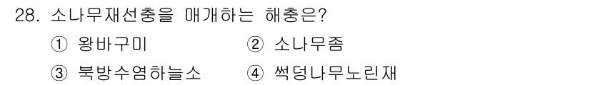 산림산업기사(구60문항) 2020년 28번 - 소나무 재선충을 매개하는 해충은 '북방수염하늘소'입니다. 이 해충은 소나... 에 관한 핵심 기출문제