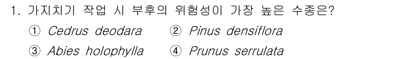 산림산업기사 2020년 1번 - 'Prunus serrulata'는 다른 수종에 비해 가지치기 작업 시 ... 에 관한 핵심 기출문제