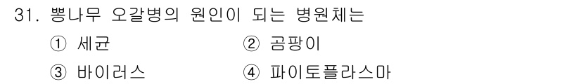 산림산업기사 2020년 31번 - 뿌리무 오갈병의 원인이 되는 병원체는 '파이토플라스마'입니다. 파이토플라... 에 관한 핵심 기출문제