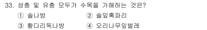 산림산업기사 2020년 33번 - 정답인 '4' 오리나무입벌레는 성충과 유충 모두에서 수목에 피해를 주는 ... 에 관한 핵심 기출문제