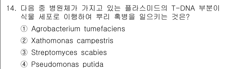 식물보호산업기사 2020년 14번 - 정답은 '1'입니다. **Agrobacterium tumefaciens*... 에 관한 핵심 기출문제