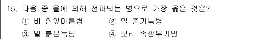 식물보호산업기사 2020년 15번 - 버 흰잎마름병은 환경적 요인과 관련이 깊고, 이 병이 피해를 주는 것은 ... 에 관한 핵심 기출문제
