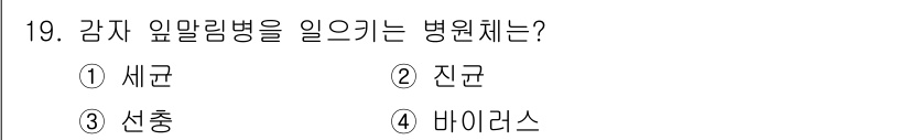 식물보호산업기사 2020년 19번 - 감자 잎말림병은 바이러스에 의해 발생하는 질병입니다. 이 병원체는 감자의... 에 관한 핵심 기출문제