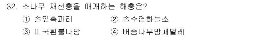 식물보호산업기사 2020년 32번 - 소나무 재선충을 매개하는 해충은 솔수염하늘소입니다. 이 해충은 소나무 재... 에 관한 핵심 기출문제