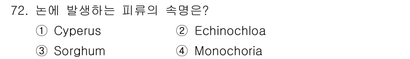 식물보호산업기사 2020년 72번 - 논에 발생하는 피류는 주로 Echinochloa 속에 해당합니다. 이 식... 에 관한 핵심 기출문제