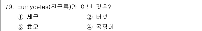 식품산업기사(구) 2020년 79번 - Eumycetes(진균)는 일반적으로 균사체를 가진 곰팡이 및 효모를 포... 에 관한 핵심 기출문제