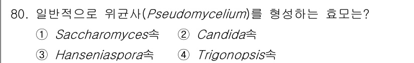 식품산업기사 2020년 80번 - Pseudomycelium은 주로 Candida 속에서 형성되는 구조로,... 에 관한 핵심 기출문제