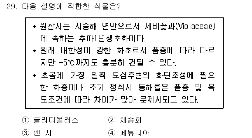 조경산업기사 2020년 29번 - 이 설명은 원산지와 특성을 고려할 때 '팬지'에 해당합니다. 팬지는 비비... 에 관한 핵심 기출문제