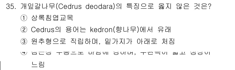 조경산업기사 2020년 35번 - 개잎갈나무(Cedrus deodara)의 특성 중 '형태가 바람에 영향을... 에 관한 핵심 기출문제