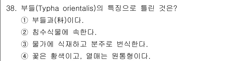 조경산업기사 2020년 38번 - 부들(Typha orientalis)은 부들이과에 속하는 식물로, 주로 ... 에 관한 핵심 기출문제