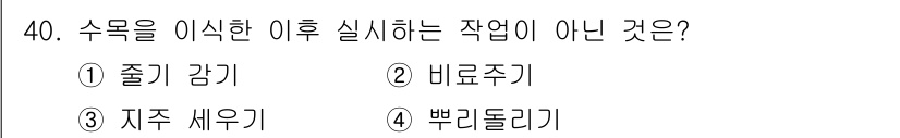 조경산업기사 2020년 40번 - '뚜리돌리기'는 일반적으로 수목을 이식한 후에 실시하는 작업이 아닙니다.... 에 관한 핵심 기출문제