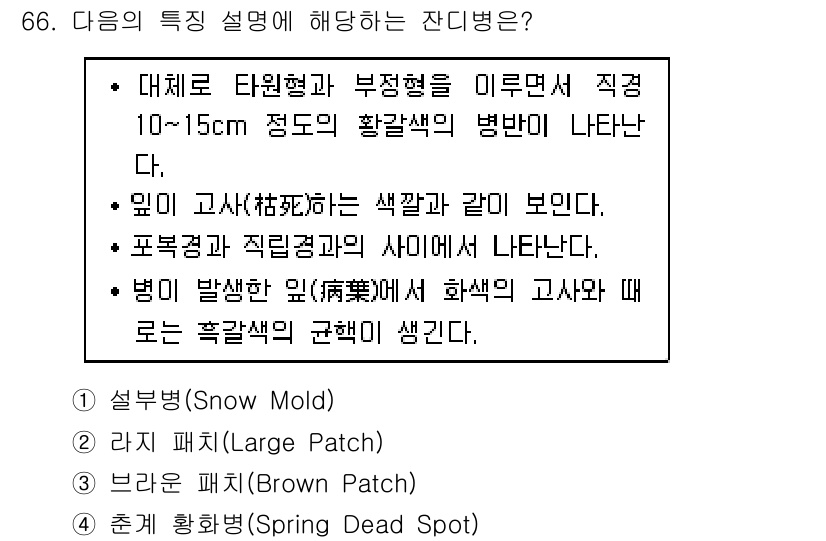 조경산업기사 2020년 66번 - 주어진 설명은 잔디병의 특징을 다루고 있으며, 이 중에서 "직경 10~1... 에 관한 핵심 기출문제