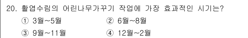 산림기사 2020년 20번 - 여린 나무 가꾸기의 가장 효과적인 시기는 6월에서 8월입니다. 이 기간은... 에 관한 핵심 기출문제