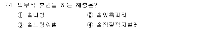 산림기사 2020년 24번 - 의무적 휴면을 하는 해충은 '4. 솔껍질깎지벌레'입니다. 이는 솔껍질깎지... 에 관한 핵심 기출문제