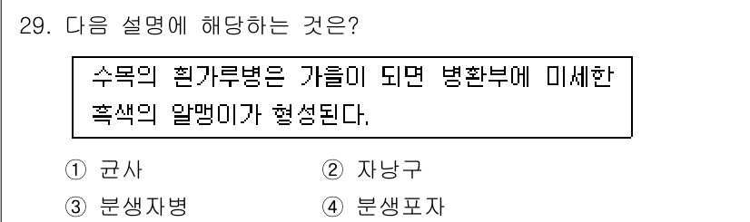 산림기사 2020년 29번 - 이 설명은 수목의 벌목과 관련된 내용을 다루고 있습니다. 수목의 관리 과... 에 관한 핵심 기출문제