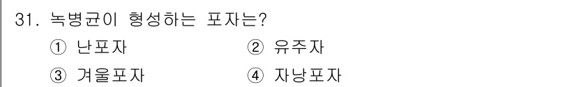 산림기사 2020년 31번 - 녹병균은 주로 겨울철에 발생하며, 이 시기에 가장 흔히 나타나는 병원균의... 에 관한 핵심 기출문제