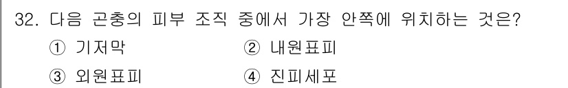 산림기사 2020년 32번 - '가저막'은 피부층 중에서 가장 안쪽에 위치하는 것으로, 다른 피부 조직... 에 관한 핵심 기출문제