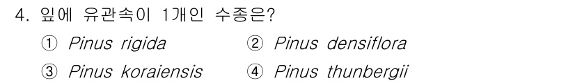 산림기사 2020년 4번 - 'Pinus koraiensis'는 유관속에서 1개인 수종으로, 다른 선... 에 관한 핵심 기출문제
