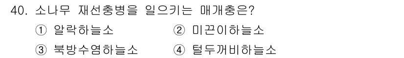 산림기사 2020년 40번 - 소나무 재선충병을 일으키는 매개체는 '북방수염하늘소'입니다. 이 해충은 ... 에 관한 핵심 기출문제