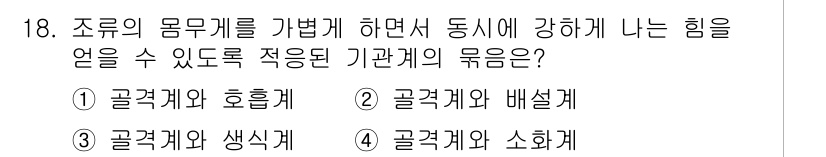 생물분류기사(동물) 2020년 18번 - 조류의 몸무계를 가볍게 하면서도 동시의 강하게 나도록 하는 기관계의 육응... 에 관한 핵심 기출문제