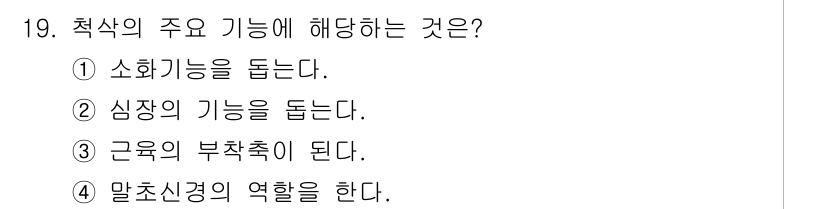 생물분류기사(동물) 2020년 19번 - 척삭의 주요 기능은 주로 근육의 부착과 신경계의 지원 역할을 합니다. 척... 에 관한 핵심 기출문제