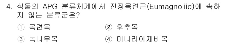 생물분류기사(동물) 2020년 4번 - APG 분류체계에서 진정목련군(Eumagnoliid)에 속하지 않는 분류... 에 관한 핵심 기출문제