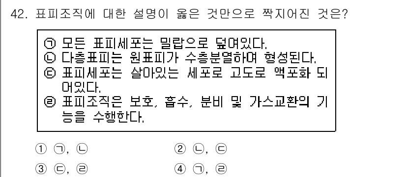 생물분류기사(동물) 2020년 42번 - 정답 '3'은 표피세포가 살아있는 세포로 고도로 액포화 되어 있다는 설명... 에 관한 핵심 기출문제