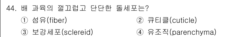 생물분류기사(동물) 2020년 44번 - 배 과육의 껍질과 같이 단단한 돌세포는 '보강세포(sclereid)'입니... 에 관한 핵심 기출문제