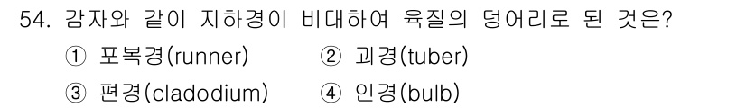 생물분류기사(동물) 2020년 54번 - 정답이 '2'인 이유는 '괴경(tuber)'이 감자와 같이 지하에서 저장... 에 관한 핵심 기출문제