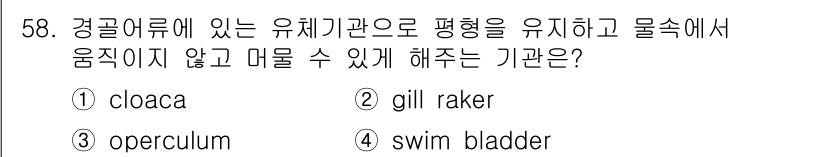 생물분류기사(동물) 2020년 58번 - 정답은 '4'번입니다. 수영 납작기(수조) 즉, swim bladder는... 에 관한 핵심 기출문제