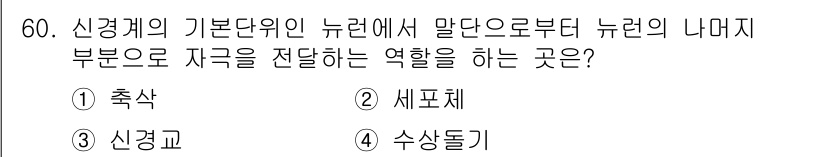 생물분류기사(동물) 2020년 60번 - 신경계의 기본 단위인 뉴런에서 자극을 전달하는 역할을 하는 것은 '축삭'... 에 관한 핵심 기출문제