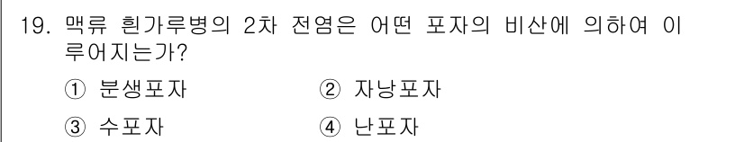 식물보호기사 2020년 19번 - 맥류 흰가루병의 2차 전염은 주로 분생포자에 의해 이루어집니다. 분생포자... 에 관한 핵심 기출문제