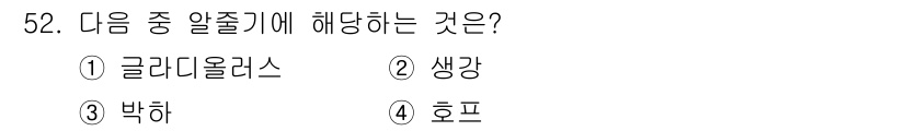 식물보호기사 2020년 52번 - 글라디올러스는 대표적인 알줄기 식물로, 뿌리에서 비늘줄기가 생겨나며 생장... 에 관한 핵심 기출문제
