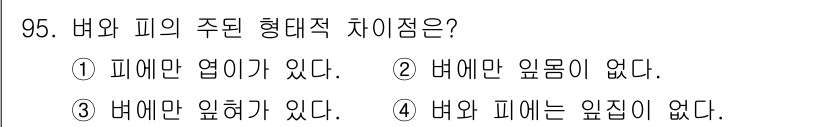 식물보호기사 2020년 95번 - 벼와 피의 주요 형태적 차이점은 벼에만 잎혀가 있다는 점입니다. 벼는 잎... 에 관한 핵심 기출문제