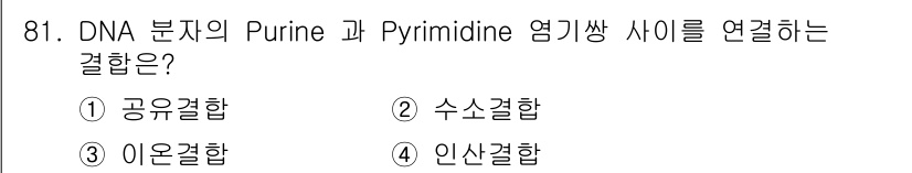 식품안전기사 2020년 81번 - DNA 분자의 Purine과 Pyrimidine 염기 사이의 결합은 수소... 에 관한 핵심 기출문제