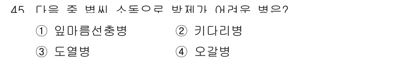 유기농업기사 2020년 45번 - 오갈병은 주로 밭작물에 발생하는 병해로, 주로 흰가루병과 비슷한 증상을 ... 에 관한 핵심 기출문제