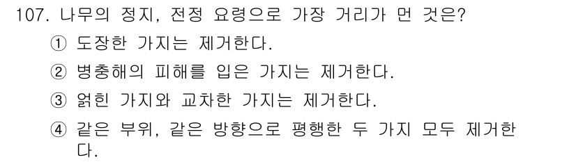 조경기사 2020년 106번 - 정답 '3'은 옆에 있는 서로 대칭인 가지들은 반드시 교차하여 서로 간섭... 에 관한 핵심 기출문제