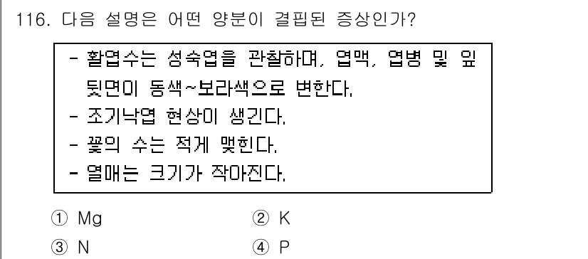 조경기사 2020년 115번 - 이 문제에서 주어진 증상은 식물의 결핍증상과 관련이 있으며, 특히 엽록소... 에 관한 핵심 기출문제