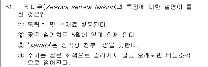 조경기사 2020년 60번 - 'Zelkova serrata Nakino'의 특징 중에서 정답인 ②가 ... 에 관한 핵심 기출문제