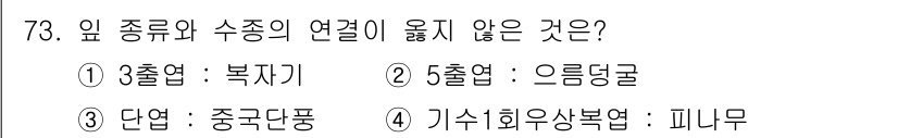 조경기사 2020년 72번 - '4'번인 기수1회우상복엽 : 피나무는 식물 분류에서 다른 선택지들과 다... 에 관한 핵심 기출문제